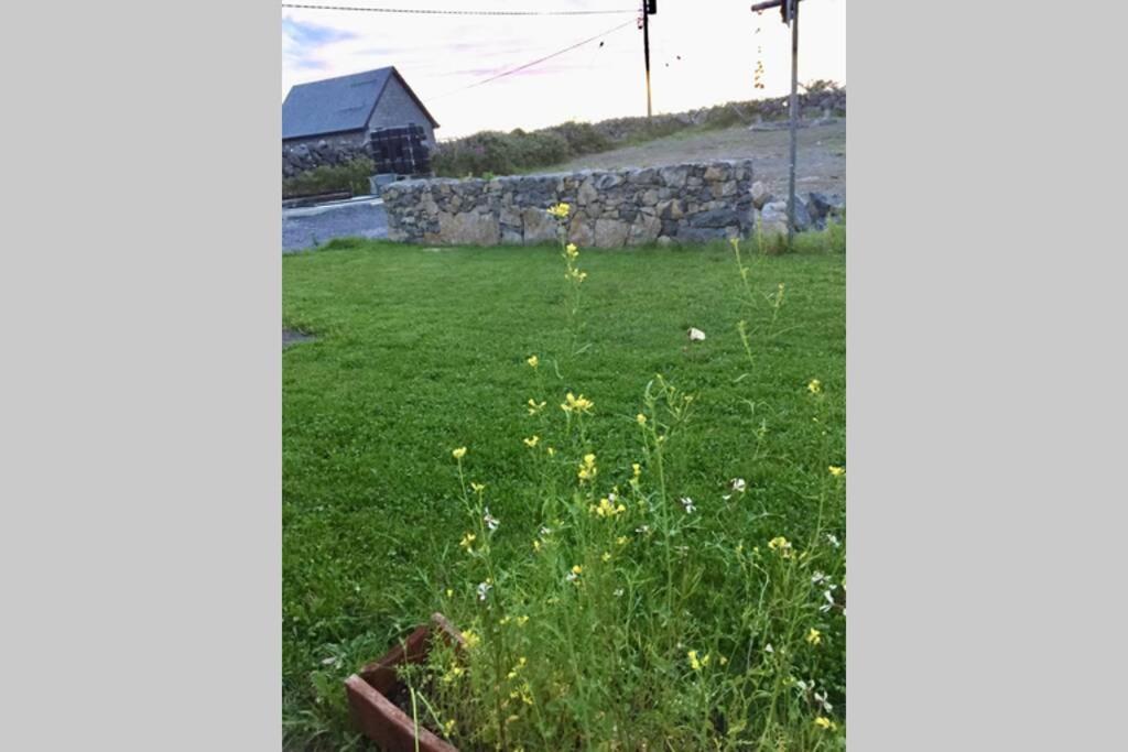 Tigh Noor - Escape To Kinvara By The Sea! 골웨이 외부 사진